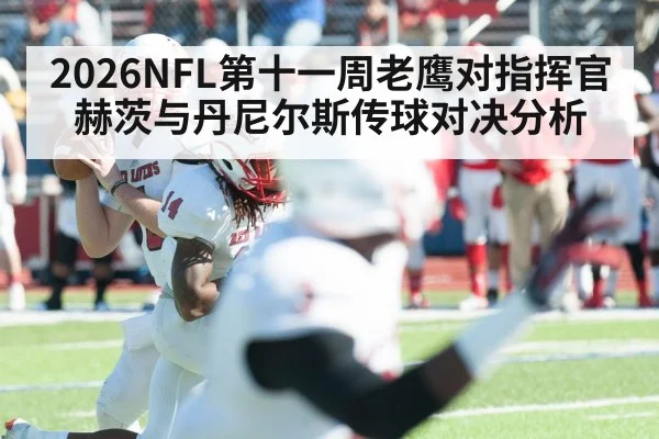 2026NFL第十一周老鹰对指挥官赫茨与丹尼尔斯传球对决分析